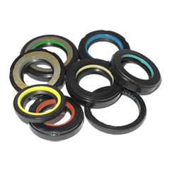 ������ ���