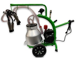 ��������� �������� ��� 95.000